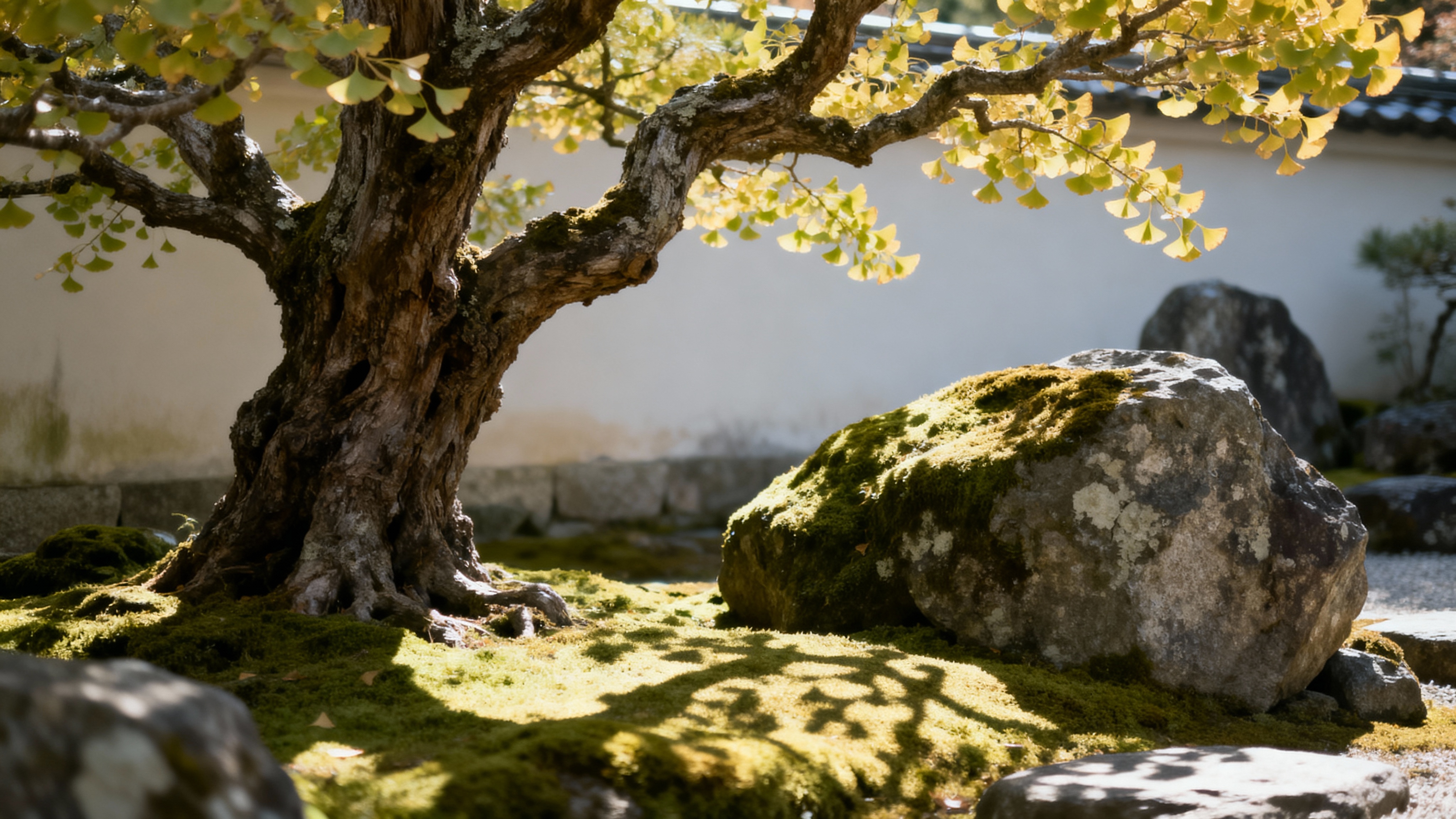 The Aesthetic Revolution: How Ginkaku-ji Gave Birth to Wabi-Sabi